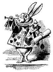 mr-ascofi-lapin