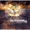 cover Kaly Live Dub - Fragments