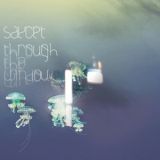 cover Saycet - Through the Window