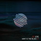 313 Eye - What is the Blues EP - FRZ034
