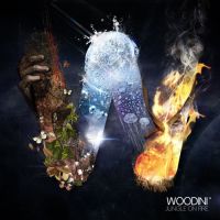 cover Woodini - Jungle on Fire