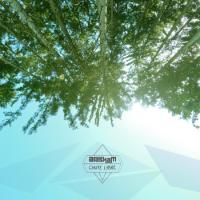 cover Alaskam - Chute libre