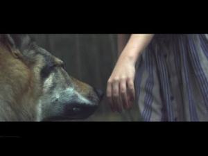 Eskmo - Feed Fire
